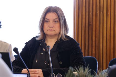 Planšarji z okrasenimi čredami, ki se spuščajo v dolino