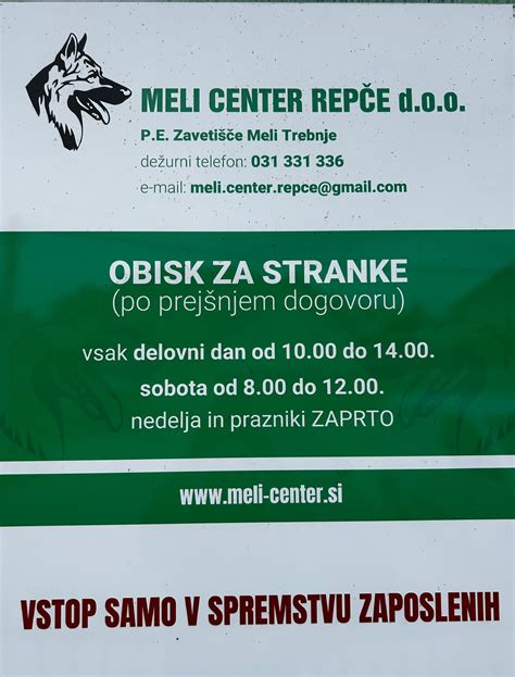 Prostor za pse v zavetišču