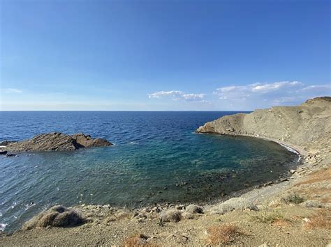 naravna pokrajina z močvirskim mečkom