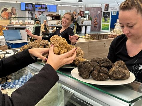 Ilustracija tartufov