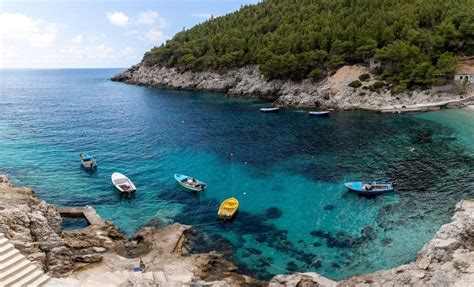 Otok kač v Braziliji