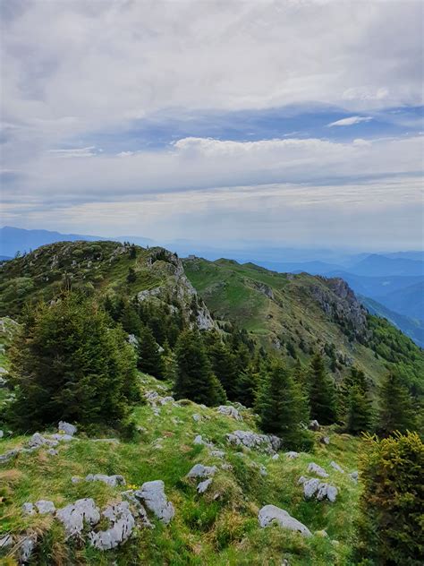 Soriška planina in okoliški hribi