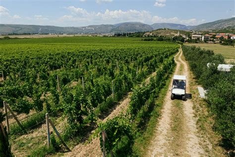 Istrska vinska cesta