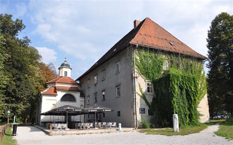 Grad Kodeljevo z okolico