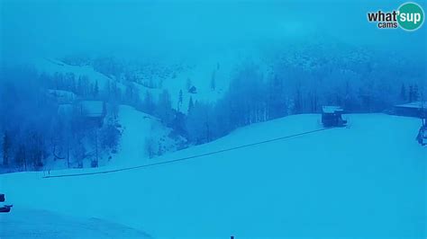 Biatlonsko strelišče s sodobnimi elektronskimi tarčami