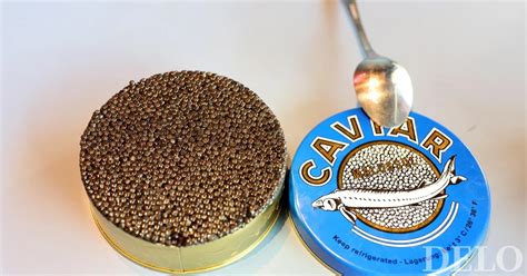 Diagram vpliva nadmorske višine na temperaturo