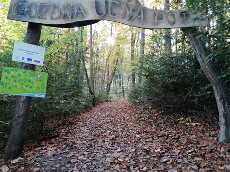 gozdna učna pot na Svetem Otju