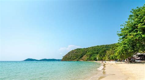 Tajska plaža s palmovimi drevesi in turkiznim morjem