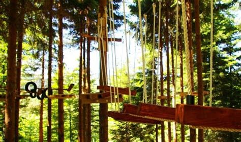 Adrenalinski park z visečimi mostovi med drevesi