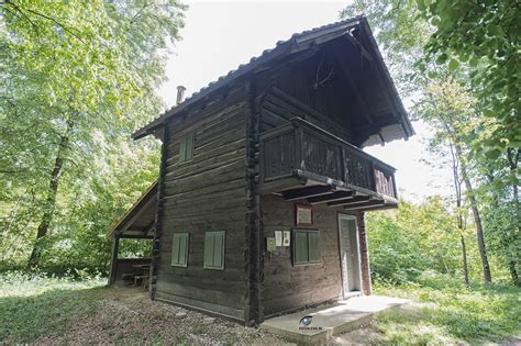 Lovska koča v gozdu