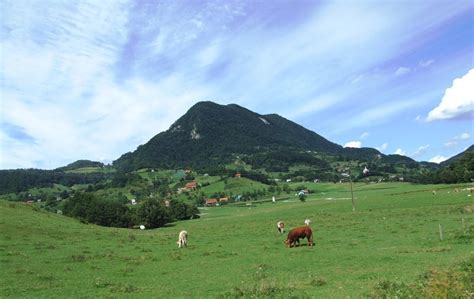 Donačka gora v zelenju