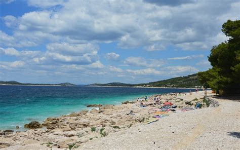 Prodanta plaža z borovim gozdom ob obali