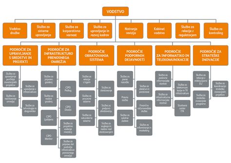 Struktura upravljanja podjetja