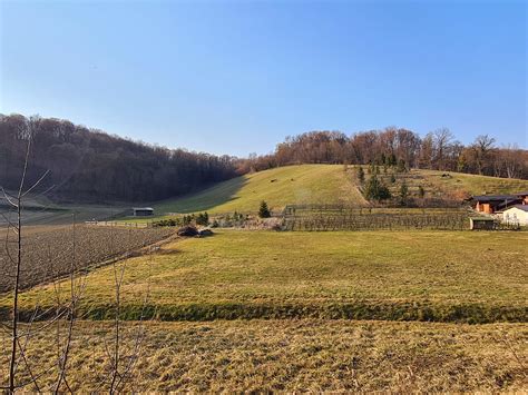Ekološka kmetija s pogledom na zelene griče