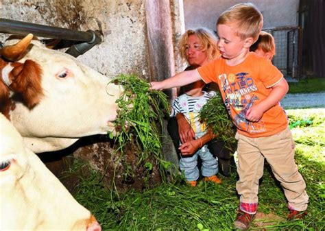 Otrok, ki hrani kozo na kmetiji