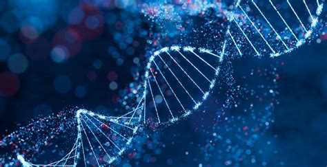 Moški lobanja z DNK analizo