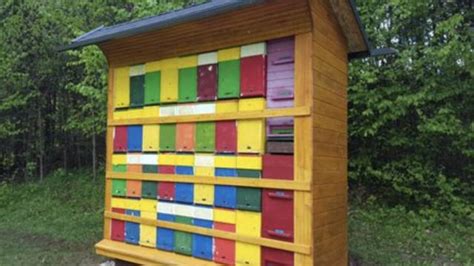 Slovenski čebelnjak