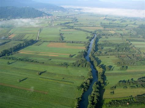 Arheološke najdbe iz Ljubljanice