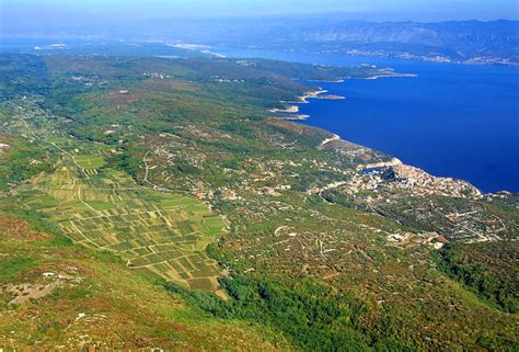 primorska pokrajina z vinogradi