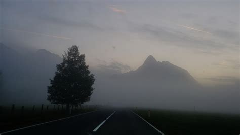 Jutranja megla v dolini