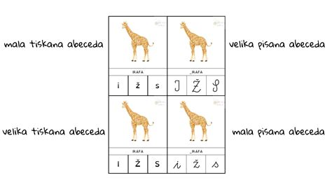 Diagram, ki prikazuje povezovanje črk v besede