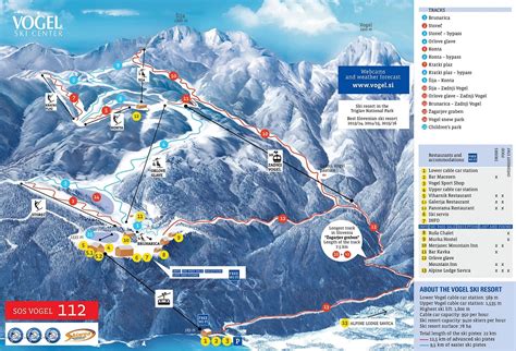 Pogled na smučišče Vogel