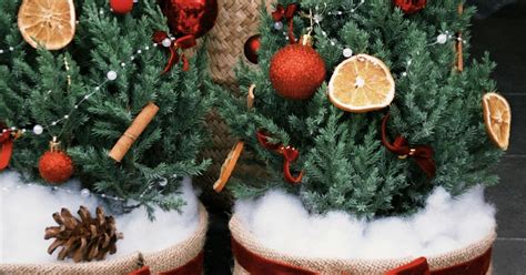 Božično drevo v soteski Johannesbachklamm