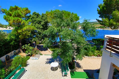 Majhen družinski kamp ob morju s senco borovcev