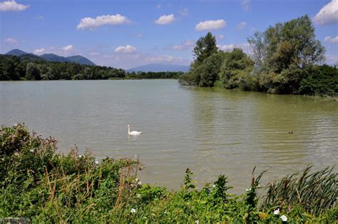 Ribnik Vrbje s ptičjo razgledno ploščadjo