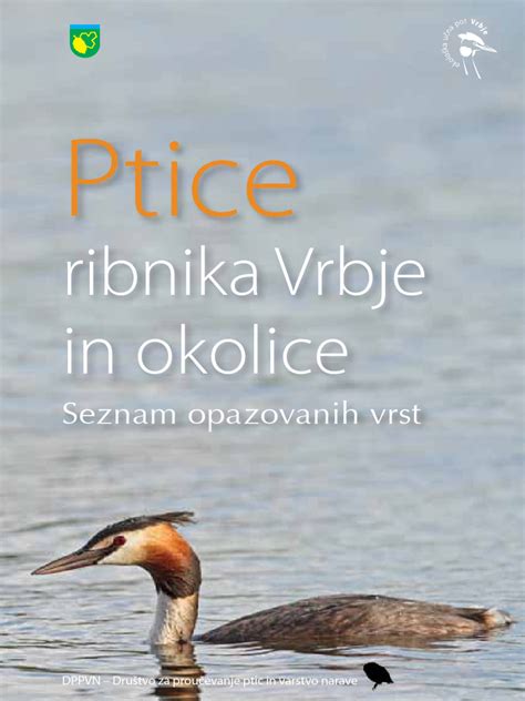 Gosta vegetacija ob obali Ribnika Vrbje
