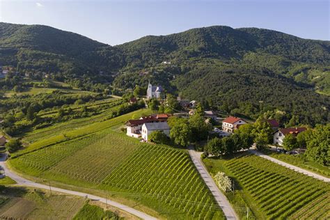 Istrska vas s pogledom na vinograde