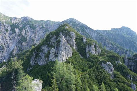 Pogled na Petro skozi sotesko