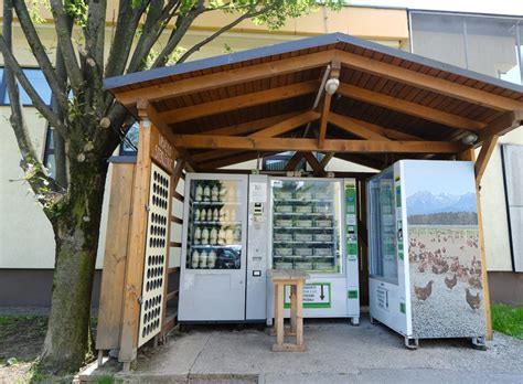 Kraška osmica z lokalnimi dobrotami