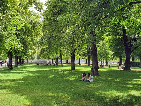 Primerjava kostanja in platane v urbanem okolju