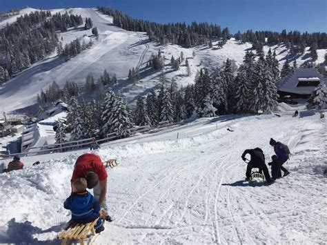 Otroški trak na Kriški planini