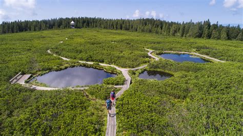 Panoramski pogled na gorski center Rogla