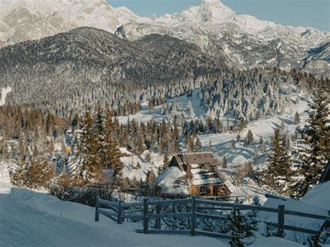 Zimska pokrajina na Veliki planini
