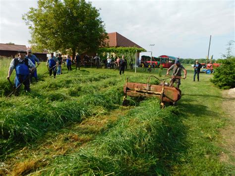 Slika košnje z ročnimi kosami