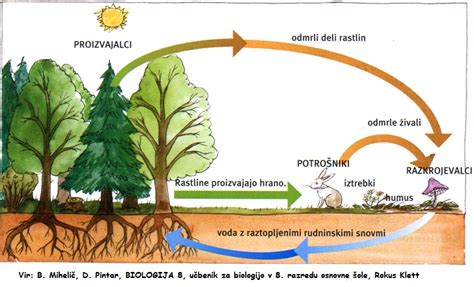 Shematski prikaz kroženja snovi na ekološki kmetiji