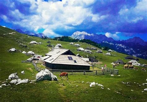 Velika planina - pogled na tradicionalne pastirske stanove