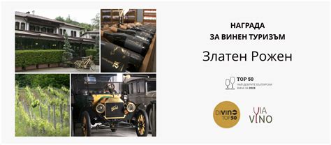 Avtodom parkiran ob vinski kleti