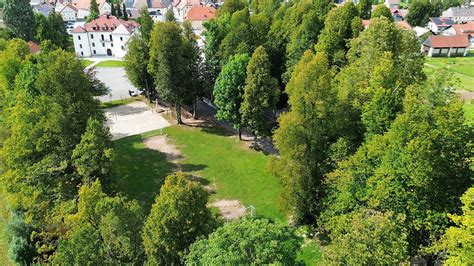 Grajski park z redkimi drevesi