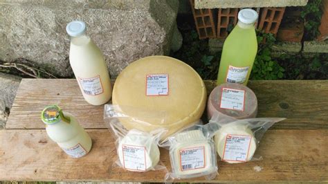 Različni mlečni izdelki iz kozjega mleka