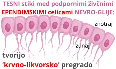 Notranjost vihare z menihovimi celicami
