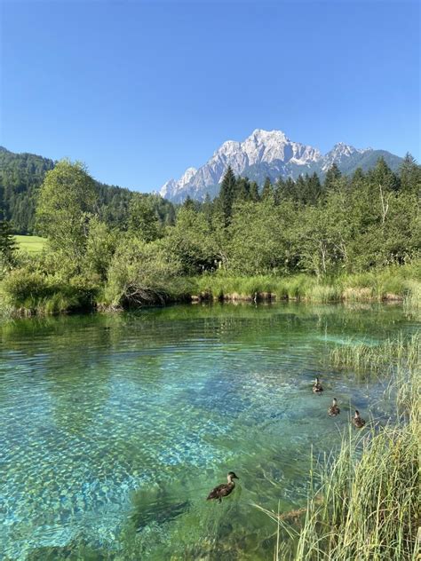 Panoramski pogled na slovenske Alpe s smaragdnimi rekami