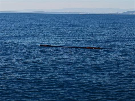 Trajekt, ki pluje po Jadranskem morju