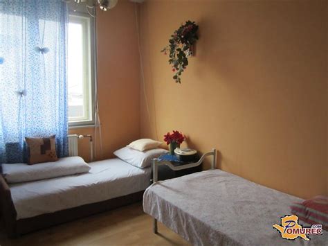 zavetišče za brezdomce Kranj