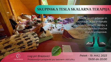 skupinska terapija zavetišče