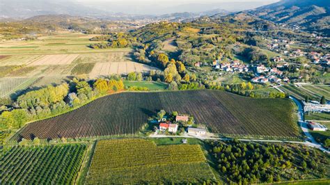 Panoramski pogled na turistično kmetijo Puhan s vinogradi v ozadju
