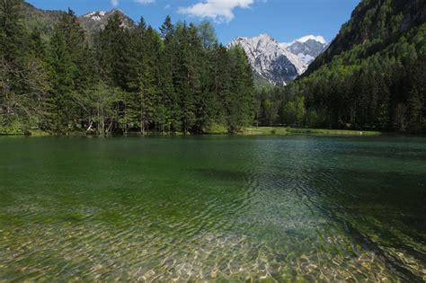Planšarsko jezero obdan s cvetočimi travniki